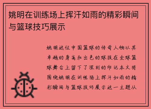 姚明在训练场上挥汗如雨的精彩瞬间与篮球技巧展示